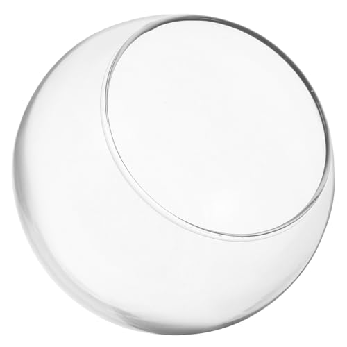 CIMAXIC Runde Glasfischschüssel Dekorative Hydroponische Pflanze Für Heimbüro Und Tisch Transparente Fischschale Für Goldene Fische Und Pflanzen Im Innenbereich CIMAXIC Runde Glasfischschüssel Dekorative Hydroponische Pflanze Für Heimbüro Und Tisch Transparente Fischschale Für Goldene Fische Und Pflanzen Im Innenbereich von CIMAXIC