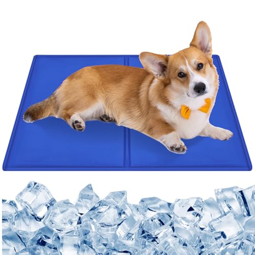CIOXSOIO Kühlmatte für Hunde 65 x 50cm, Selbstkühlend Kühldecke Hund, Sicher Nicht-Giftiges Gel, Kühlkissen Hundematte für Hunde und Katzen, Hund Kühlmatte für Sommer Zuhause Unterwegs Auto CIOXSOIO Kühlmatte für Hunde 65 x 50cm, Selbstkühlend Kühldecke Hund, Sicher Nicht-Giftiges Gel, Kühlkissen Hundematte für Hunde und Katzen, Hund Kühlmatte für Sommer Zuhause Unterwegs Auto von CIOXSOIO