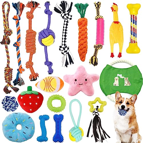 CIRULLI 20 Stück Hundespielzeug, Kauseil,interaktives Hundespielzeugs,Seil mit Ball,interaktives Hundespielzeug aus Baumwolle,sicher und ungiftig,kann die Zähne von Hunden für Welpen klein/mittel/groß von CIRULLI