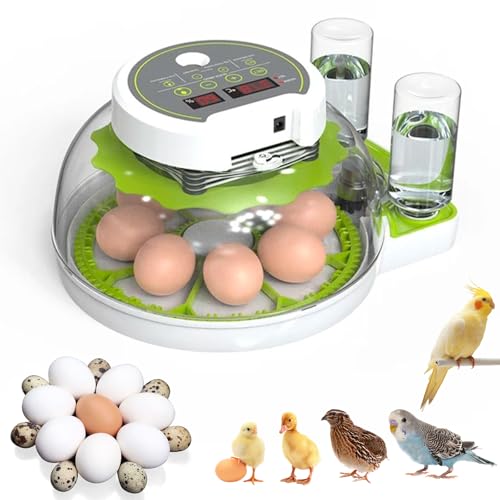 CISSIYOG Eierbrüter, Geflügel Automatischer Eierbrutkasten 8-16 Eier mit Automatischem Eierdrehen und Feuchtigkeitsanzeige, Integrierter Eierkerzer, zum Schlüpfen von Huhn, Wachtel, Ente, Vogeleier von CISSIYOG
