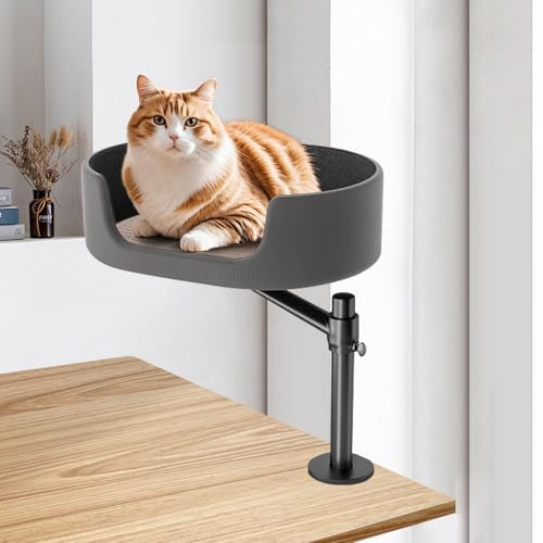 CISSIYOG Katzenbett, Klemmbares Schreibtisch Katzenbett Regal, Einfache Montage Haustierbett für Katze/kleinen Hund Verwendbar zum Schlafen, Spielen und Entspannen, Bis Zu 10kg CISSIYOG Katzenbett, Klemmbares Schreibtisch Katzenbett Regal, Einfache Montage Haustierbett für Katze/kleinen Hund Verwendbar zum Schlafen, Spielen und Entspannen, Bis Zu 10kg von CISSIYOG