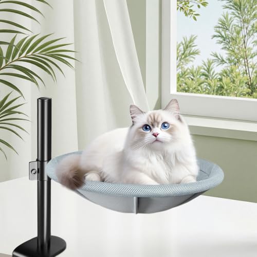 CISSIYOG Katzenbett für Schreibtisch, 360 ° Drehendes Schreibtisch Katzenbett, Verstellbare Höhe Kein Bohren Tisch-Katzenbett mit Zwei Haustier-Kissen für Katze/kleinen Hund Verwendbar, Bis Zu 60 lb CISSIYOG Katzenbett für Schreibtisch, 360 ° Drehendes Schreibtisch Katzenbett, Verstellbare Höhe Kein Bohren Tisch-Katzenbett mit Zwei Haustier-Kissen für Katze/kleinen Hund Verwendbar, Bis Zu 60 lb von CISSIYOG