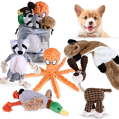 CITAMAMA Quietschendes Hundespielzeug, 5 Stück Hundeplüschspielzeug Kauspielzeug für Hunde Zahnreinigung Interaktives Trainingsspielzeug Welpenspielzeug für Welpen Kleine Hunde von CITAMAMA