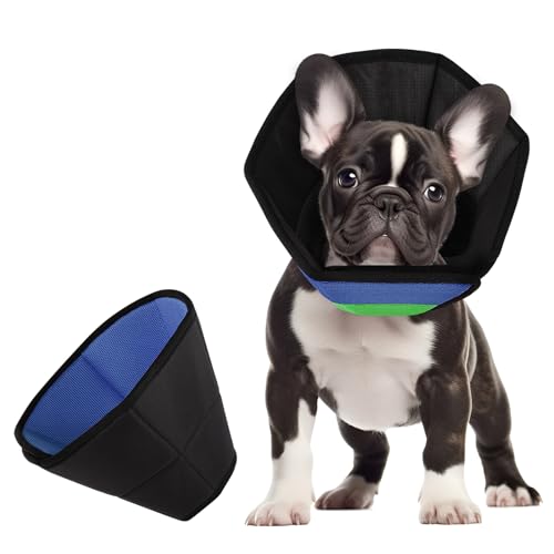 CITÉTOILE Halskrause Hund, Bequem Schutzmaßnahmen Schutzkragen Hund, Einstellbar Hundekragen, Vorbeugung von Biss- und Halskrause Leckwunden, Blaugrün, M von CITÉTOILE