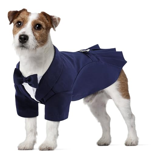 CITÉTOILE Hunde Hochzeit Anzug Set, Smoking Hemd mit Fliege Party Kleidung, Hochzeit Geburtstag Party Halloween Hundeanzug für Kleine Mittlere Große Hunde Katze, Blau, L von CITÉTOILE