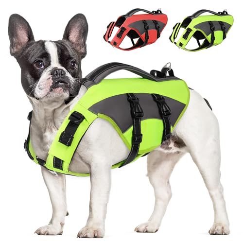 CITÉTOILE Hunde Schwimmweste mit Griff und Reflektierend, Einstellbare Rettungsweste für Kleine Mittel Große Hunde, Langlebigem für Wassersport Schwimmen und Bootfahren, Grün, L von CITÉTOILE