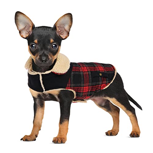 CITÉTOILE Hunde Winterjacken Wasserdicht,Hundemantel Winddichte, Hundejacken Futter aus Fleece für Kleine Mittel Große Hunde, Warm Wintermäntel für Hunde mit Geschirr Loch, Karierte, XL CITÉTOILE Hunde Winterjacken Wasserdicht,Hundemantel Winddichte, Hundejacken Futter aus Fleece für Kleine Mittel Große Hunde, Warm Wintermäntel für Hunde mit Geschirr Loch, Karierte, XL von CITÉTOILE