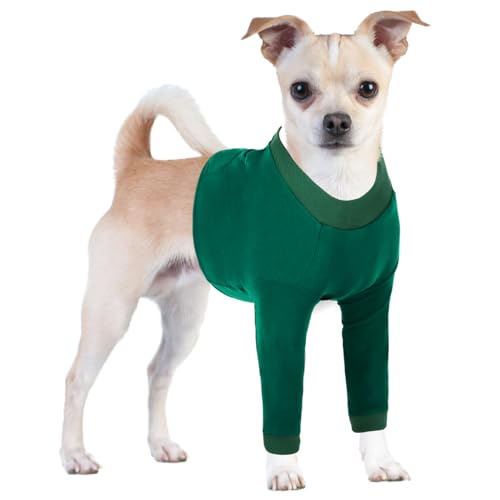CITÉTOILE Hundebody Nach Op, Wundschutzanzüge für Hunde Mit Bein, Vornebeinschutz für Verletzung Hund, Anti-Wundlecken Op Body Hunde, E-Kragen Alternative, Grün, XS CITÉTOILE Hundebody Nach Op, Wundschutzanzüge für Hunde Mit Bein, Vornebeinschutz für Verletzung Hund, Anti-Wundlecken Op Body Hunde, E-Kragen Alternative, Grün, XS von CITÉTOILE
