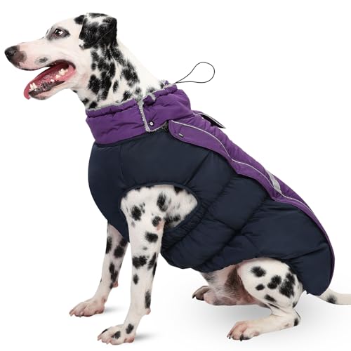 CITÉTOILE Hundemantel Wasserdichter, Hundejacke Winddichte Wintermantel Hund Outfit mit Reflektierender Streifen und Reißverschluss, Lila, L CITÉTOILE Hundemantel Wasserdichter, Hundejacke Winddichte Wintermantel Hund Outfit mit Reflektierender Streifen und Reißverschluss, Lila, L von CITÉTOILE