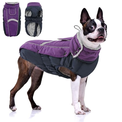 CITÉTOILE Hundemantel Wasserdichter, Hundejacke Winddichte Wintermantel Hund Outfit mit Reflektierender Streifen und Reißverschluss, Lila, M CITÉTOILE Hundemantel Wasserdichter, Hundejacke Winddichte Wintermantel Hund Outfit mit Reflektierender Streifen und Reißverschluss, Lila, M von CITÉTOILE