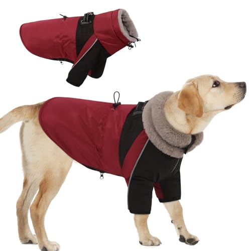CITÉTOILE Hundemantel Winter, Hundemantel Wasserdicht & Winddichte,Hundemantel mit Geschirr für Kleine Hunde, Mittlere und Grosse Hunde,Reflektierender Hundejacke Hunde mit Bauchschutz CITÉTOILE Hundemantel Winter, Hundemantel Wasserdicht & Winddichte,Hundemantel mit Geschirr für Kleine Hunde, Mittlere und Grosse Hunde,Reflektierender Hundejacke Hunde mit Bauchschutz von CITÉTOILE