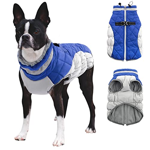 CITÉTOILE Hundemantel Winter,Hundejacke mit Geschirr, Wasserdicht Hundemantel mit Fleece Gefütterte für Kleine Hunde Warme Hundeweste mit Reflektierend für Kleine Mittel Grosse Hunde, Blau, XS von CITÉTOILE