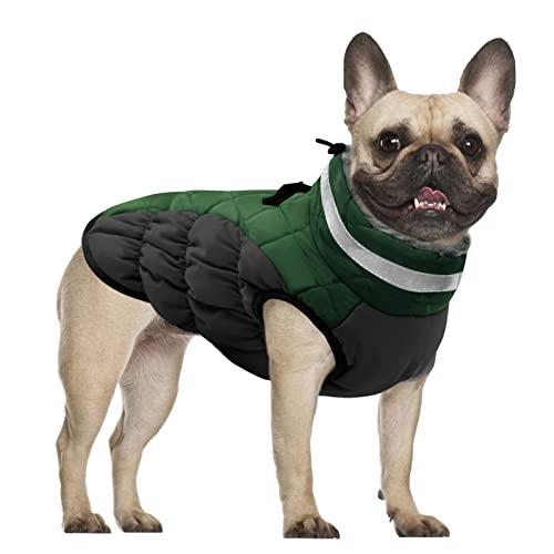 CITÉTOILE Hundemantel für Kleine Hunde,Hundemantel Winter mit Geschirr, Warme Hundejacke, Hundemantel Wasserdicht mit Fleece Gefütterte, Winddichtes Reflektierend Winterweste für Dackel, Bulldogge CITÉTOILE Hundemantel für Kleine Hunde,Hundemantel Winter mit Geschirr, Warme Hundejacke, Hundemantel Wasserdicht mit Fleece Gefütterte, Winddichtes Reflektierend Winterweste für Dackel, Bulldogge von CITÉTOILE