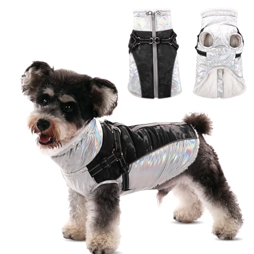 CITÉTOILE Hundemantel Winter,Warmer Hundemantel mit Geschirr, Wasser & Winddichte Reflektierender Wintermantel Hund, Hundejacke mit Reißverschluss und Stehkragen für Kleine Hunde, M CITÉTOILE Hundemantel Winter,Warmer Hundemantel mit Geschirr, Wasser & Winddichte Reflektierender Wintermantel Hund, Hundejacke mit Reißverschluss und Stehkragen für Kleine Hunde, M von CITÉTOILE