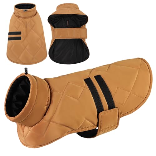 CITÉTOILE Hundemantel für Kleine Hunde, Hundemantel Winter,Winddichte Hundejacke für Hund Indoor & Outdoor Camping Wandern CITÉTOILE Hundemantel für Kleine Hunde, Hundemantel Winter,Winddichte Hundejacke für Hund Indoor & Outdoor Camping Wandern von CITÉTOILE