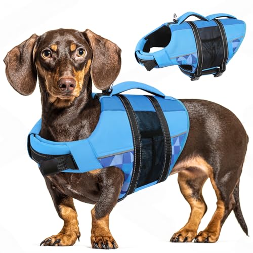 CITÉTOILE Schwimmweste Hund, Hunde Schwimmweste mit Griff und Reflektierend, Rettungsweste für Kleine Mittlere und Große Hunde mit Guter Auftrieb, Leicht und Sicher für Wassersport Blau M von CITÉTOILE