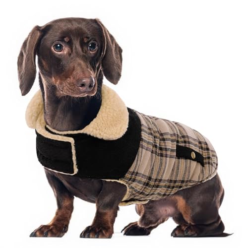 CITÉTOILE Warme Hundemantel Fleece, Wintermantel Winterjacken für Kleine/Große/Mittlere Hunde, Hundejacke Hundekleidung Hundepullover mit Geschirrloch für Outdoor Indoor, Beige, M CITÉTOILE Warme Hundemantel Fleece, Wintermantel Winterjacken für Kleine/Große/Mittlere Hunde, Hundejacke Hundekleidung Hundepullover mit Geschirrloch für Outdoor Indoor, Beige, M von CITÉTOILE
