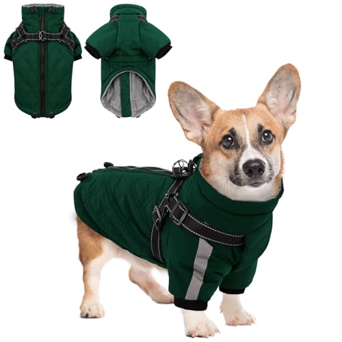 CITÉTOILE Warmer Hundejacke mit Geschirr, Winddichte Hundemantel für Kaltes Wetter, Hundebekleidung mit Reißverschlüssen und Lockeren Bündchen für Hunde, Grün, M CITÉTOILE Warmer Hundejacke mit Geschirr, Winddichte Hundemantel für Kaltes Wetter, Hundebekleidung mit Reißverschlüssen und Lockeren Bündchen für Hunde, Grün, M von CITÉTOILE