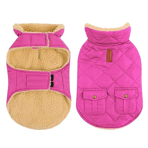 CITÉTOILE Wasserdicht Hundemantel, Warme Wintermantel Winterjacken mit Fleece für Chihuahua Dackel, Hundejacke Hundekleidung Hundepullover Dog Coat für Kleine/Große/Mittlere Hunde, Rosa, L von CITÉTOILE