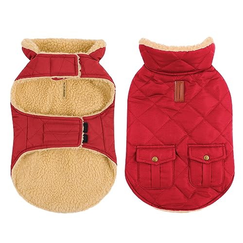 CITÉTOILE Wasserdicht Hundemantel, Warme Wintermantel Winterjacken mit Fleece für Chihuahua Dackel, Hundejacke Hundekleidung Hundepullover Dog Coat für Kleine/Große/Mittlere Hunde, Rot, XS von CITÉTOILE