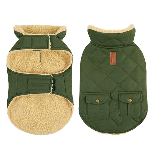 CITÉTOILE Wasserdicht Hundemantel, Warme Wintermantel Winterjacken mit Fleece für Kleine/Große/Mittlere Hunde, Hundejacke Hundekleidung Hundepullover Dog Coat für Chihuahua Dackel, Grün, L von CITÉTOILE