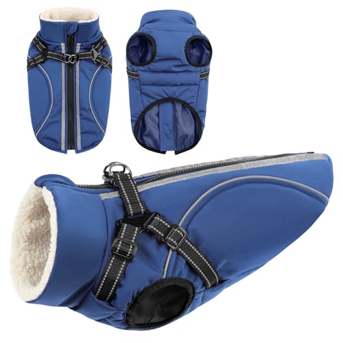 CITÉTOILE Winddichte Hundemantel mit Geschirr, Wasserdichter Wintermantel für kleine Mittel Große Hunde Outfit mit Reflektierender Streifen und Reißverschluss, Blau, XL CITÉTOILE Winddichte Hundemantel mit Geschirr, Wasserdichter Wintermantel für kleine Mittel Große Hunde Outfit mit Reflektierender Streifen und Reißverschluss, Blau, XL von CITÉTOILE
