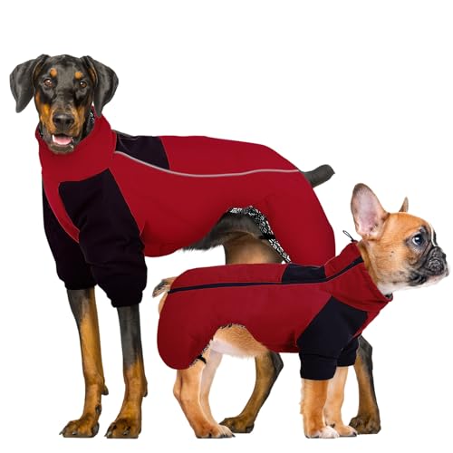 CITÉTOILE Winter Hundemantel, Hunde Wasserdichter Wintermantel, Outdoor Hundejacke mit Reflektierender Streifen, Winterwarme Hundekleidung mit Selbsterwärmender Innenstoff, Rot, L von CITÉTOILE
