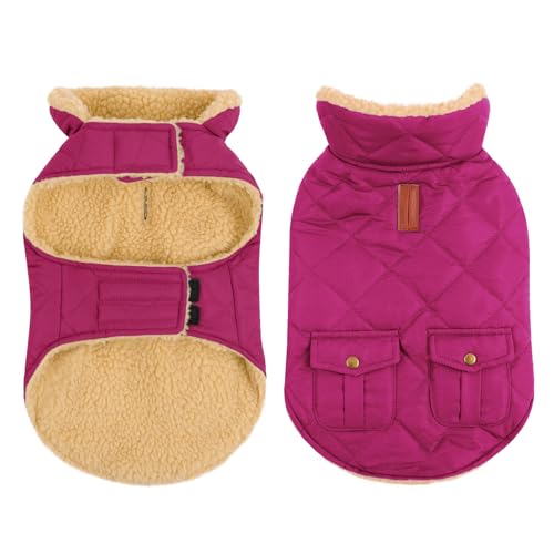 CITÉTOILE Wintermantel Hundemantel, Warme Winterjacken mit Fleece für Hunde,Hundejacke Hundekleidung Hundepullover Dog Coat mit Geschirr Loch für Chihuahua Dackel, Lila, M von CITÉTOILE