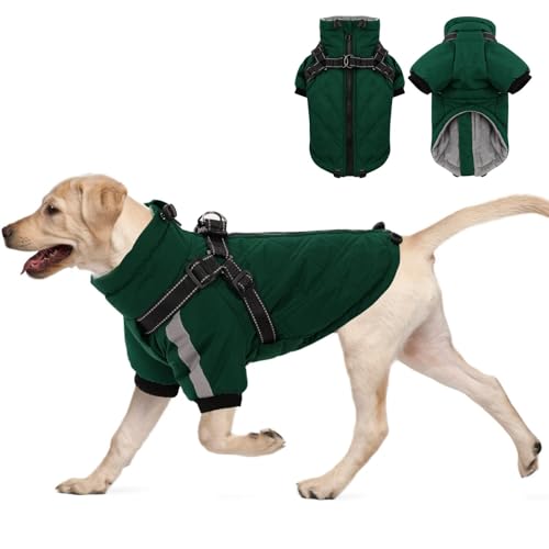 CITÉTOILE Warmer Hundejacke mit Geschirr, Winddichte Hundemantel für Kaltes Wetter, Hundebekleidung mit Reißverschlüssen und Lockeren Bündchen für Hunde, Grün, L CITÉTOILE Warmer Hundejacke mit Geschirr, Winddichte Hundemantel für Kaltes Wetter, Hundebekleidung mit Reißverschlüssen und Lockeren Bündchen für Hunde, Grün, L von CITÉTOILE