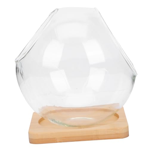 CIYODO 1 Satz Deko Glasvase Glasflasche für Mikrolandschaft Unterlage für Tischdeko Wohnzimmer Schlafzimmer DIY Dekoration Haushaltsaufbewahrung CIYODO 1 Satz Deko Glasvase Glasflasche für Mikrolandschaft Unterlage für Tischdeko Wohnzimmer Schlafzimmer DIY Dekoration Haushaltsaufbewahrung von CIYODO
