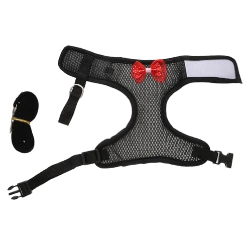 CIYODO Haustier Hahn Henne Leine Extra - Outdoor Zugseil Spaß Zubehör Set CIYODO Haustier Hahn Henne Leine Extra - Outdoor Zugseil Spaß Zubehör Set von CIYODO