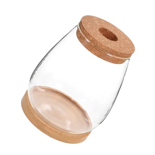 CIYODO 1 Satz Hydroponischer Blumentopf Mikro-landschaftsbehälter Glasterrarium Mit Deckel Micro-landschafts-DIY-Flasche Mikrolandschaft Terrarium Glasbehälter Für Terrarium Bambus von CIYODO