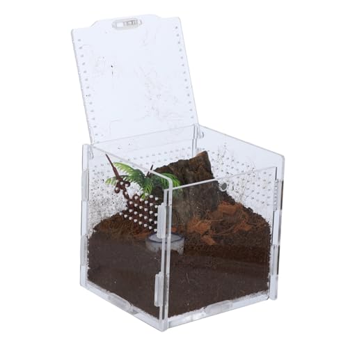 CIYODO 1 Satz Insektenbox für Springspinnen Transparentes Futter und Zuchtterrarium Kleiner Zuchtbehälter für Spinnen Schnecken und Andere Reptilien Atmungsaktives Design Material CIYODO 1 Satz Insektenbox für Springspinnen Transparentes Futter und Zuchtterrarium Kleiner Zuchtbehälter für Spinnen Schnecken und Andere Reptilien Atmungsaktives Design Material von CIYODO