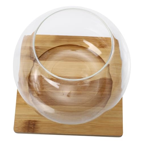 CIYODO 1 Satz Micro Landschafts Glasblumentopf mit Holzunterlage Runder Glasbehälter für Moos und Kleine Fische DIY Fischbowl für Hotel und Esszimmer von CIYODO