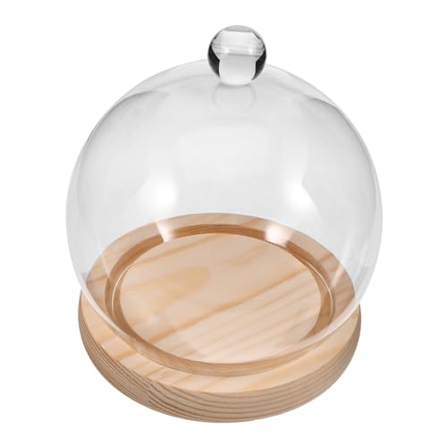 CIYODO 1 Satz Micro-Querformat-Glasabdeckung Terrarium groß Gartenglocke Pflanzenkuppel Anlage Wohnzimmer Dekoration deko für Wohnzimmer ewige Blumenhüllen Blumen-Glaskuppel- Holz von CIYODO