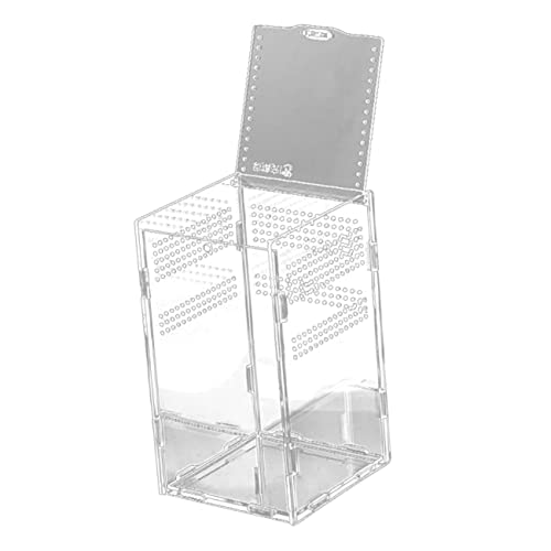 CIYODO 1 Satz Transparente Futterbox Chamäleon Hängematte Schildkröte Aquarium Reptilienterrarium Käfig Für Schlange Vertikaler Gehäusetank Spinnentankkästen Acryl von CIYODO