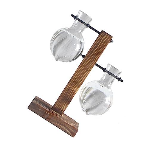 CIYODO Hydrokultur-pflanzentopf Glas Mit Holzständer Für Tisch Terrarium Wasserpflanzen Hydrokultur-gefäße von CIYODO