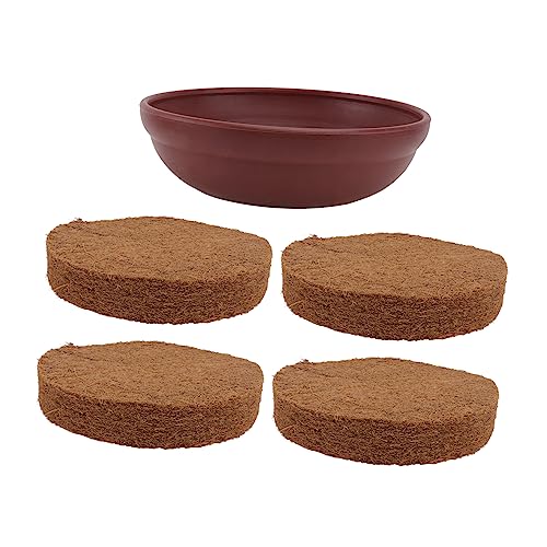 CIYODO 1 Set Brieftaubenausrüstung Vogeltränken Vlies Vogelnestunterlage Käfigset Brutnestmatte Für Hamster Wachteleihalter Heu Nistkästen Für Wachteln Futterspender CIYODO 1 Set Brieftaubenausrüstung Vogeltränken Vlies Vogelnestunterlage Käfigset Brutnestmatte Für Hamster Wachteleihalter Heu Nistkästen Für Wachteln Futterspender von CIYODO