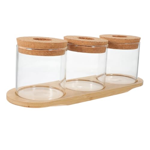 CIYODO 1 Set Hydrokultur Pflanzenglasflasche Vase Pflanztöpfe Für Zimmerpflanzen Pflanzenterrarium Blumenbehälter Innentöpfe Für Pflanzen Hydrokultur Terrarium Pflanzen von CIYODO
