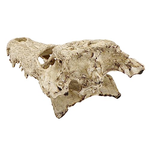 CIYODO 1 Stück Aquarium Dekoration Skull Ornament aus Hochwertigem Resin für Fischbecken und Zufällige Langlebige Miniaturkunst für Wohnräume und Schreibtische Zufällige CIYODO 1 Stück Aquarium Dekoration Skull Ornament aus Hochwertigem Resin für Fischbecken und Zufällige Langlebige Miniaturkunst für Wohnräume und Schreibtische Zufällige von CIYODO