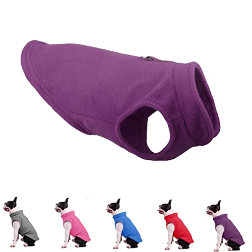 CIYODO 1 Stück Heimtierbedarf Hundekühlkissen Mantel Kleiner Hunderegenmantel Hunde Hundepullover Kühlweste Für Hunde Kleiner Rassen Hundekapuzenpullover Hundekleidung Hundeoutfits von CIYODO