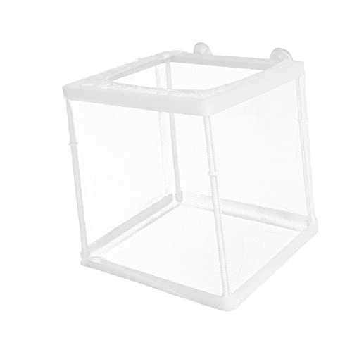 CIYODO Zuchtbox Für Fische Praktischer Fischinkubator Zuchttankbox Aus Weißem Netz Sicher Für Den Einsatz Im Heimaquarium von CIYODO