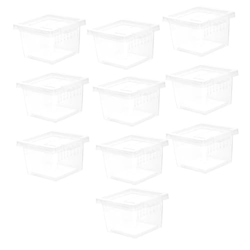 CIYODO 10 Stück Futterbox Für Haustiere Reptilienterrarium Pinzette Zum Füttern Von Schlangen Brutbehälter Reptilien Inkubator Zubehör Für Reptilien Geckobecken Reptilienpflanzen Plastik von CIYODO