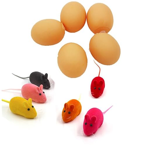 CIYODO 12St Katzen-Mäuse- Haustier Kätzchen Interaktives Katzenspielzeug Hunderätsel funnytoys Funny Toys Haustier-Rattenspielzeug Haustier- - CIYODO 12St Katzen-Mäuse- Haustier Kätzchen Interaktives Katzenspielzeug Hunderätsel funnytoys Funny Toys Haustier-Rattenspielzeug Haustier- - von CIYODO