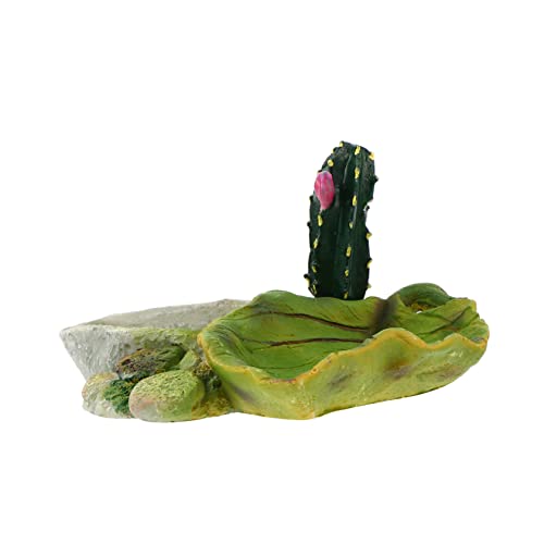 CIYODO 1Stück Exquisites Reptilien Futternapf Für Schildkröten Und Echsen Aus Hochwertigem Ungiftigem Material Für Aquarien Und Terrarien Und Pflegeleichte Futter CIYODO 1Stück Exquisites Reptilien Futternapf Für Schildkröten Und Echsen Aus Hochwertigem Ungiftigem Material Für Aquarien Und Terrarien Und Pflegeleichte Futter von CIYODO