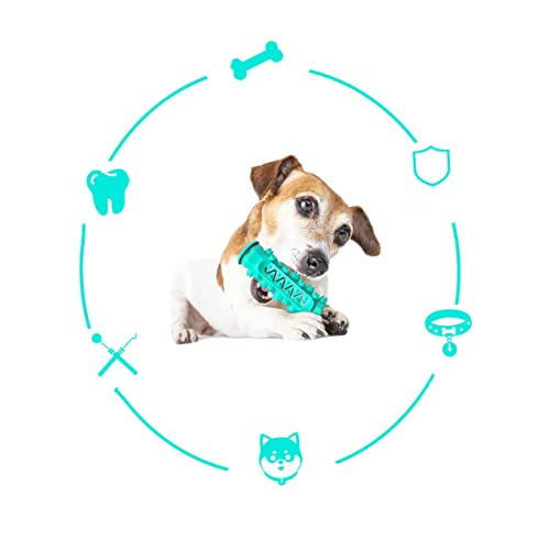 CIYODO Haustier Zähne Liefert 1pc Hund Zähne Spielzeug Zahn Zahnbürste Spielzeug Für Hund Molar Rod CIYODO Haustier Zähne Liefert 1pc Hund Zähne Spielzeug Zahn Zahnbürste Spielzeug Für Hund Molar Rod von CIYODO