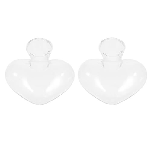 CIYODO 2 Stück Glasvase blumenarrangement Blumenvase Glaswaren Hydroponikvase für Pflanzen einzigartig blumentopf Links Wasserpflanzvase Pflanzenflasche aus Glas Transparent von CIYODO