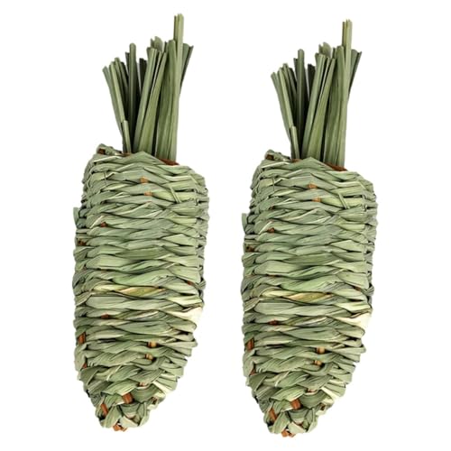 CIYODO 2 Stücke Gewebtes Beißspielzeug Für Kleine Haustiere Kauspielzeug Aus Natürlichen Materialien Für Kaninchen Meerschweinchen Und Papageien Zahnknirschen Und Spielspaß von CIYODO