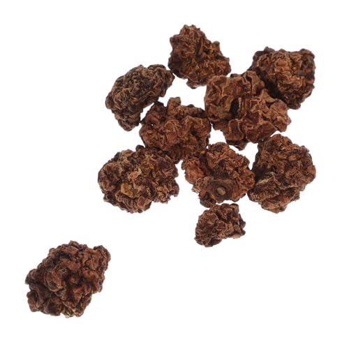 CIYODO 20 STK Beißball für Haustiere pet Supplies Katzen Spielzeug katzenspielzeuge katzenspielzeig Kauball für Katzen Katze Katzenminze Spielzeug Pet-Ball-Spielzeug Kauball für Haustier CIYODO 20 STK Beißball für Haustiere pet Supplies Katzen Spielzeug katzenspielzeuge katzenspielzeig Kauball für Katzen Katze Katzenminze Spielzeug Pet-Ball-Spielzeug Kauball für Haustier von CIYODO