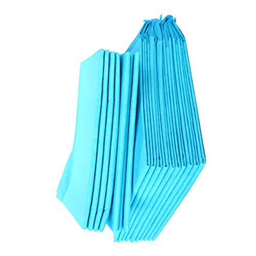 CIYODO 20 Stück Einweg-PIPI-Pads Für Haustiere Welpen-Trainings-Pads Sofortige Flüssigkeitsaufnahme CIYODO 20 Stück Einweg-PIPI-Pads Für Haustiere Welpen-Trainings-Pads Sofortige Flüssigkeitsaufnahme von CIYODO
